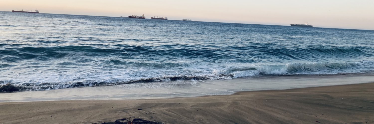 Revista Lector banner