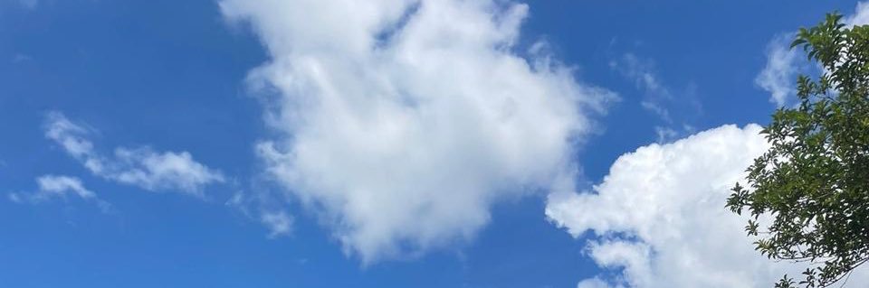 luizethay's profile banner image