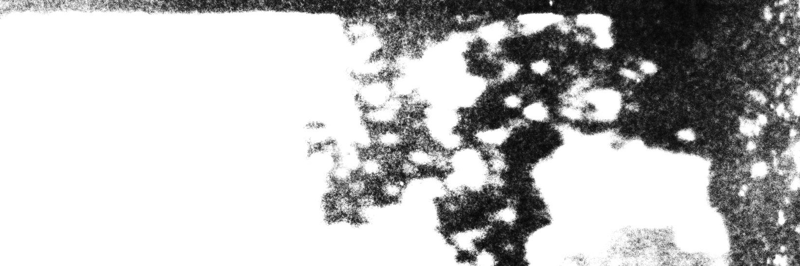 _stasism's profile banner image