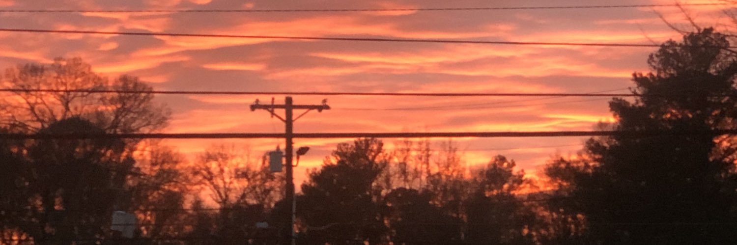 Lindsay Field Penticuff banner
