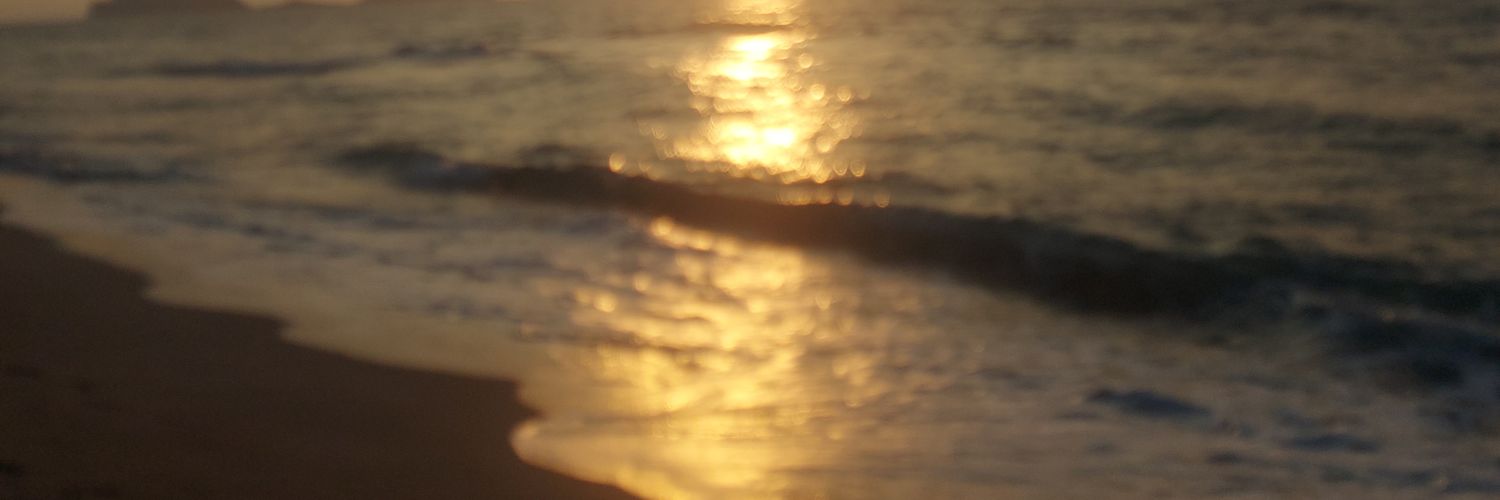 SeniorKaloy's profile banner image