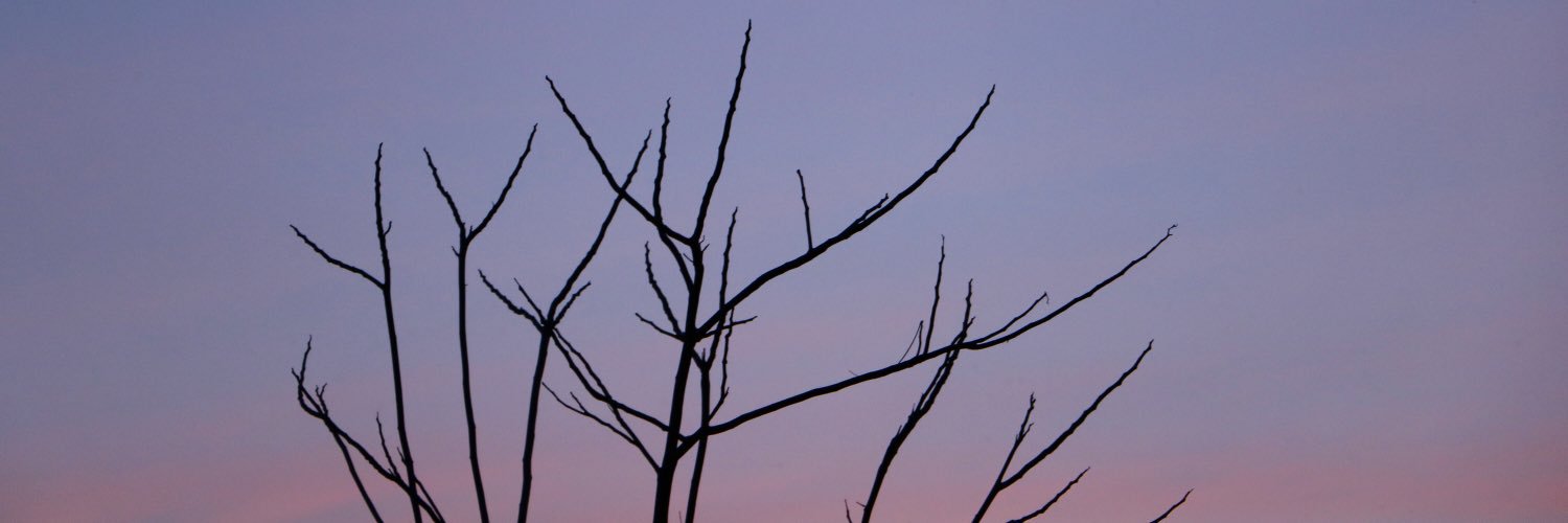 timethnk's profile banner image