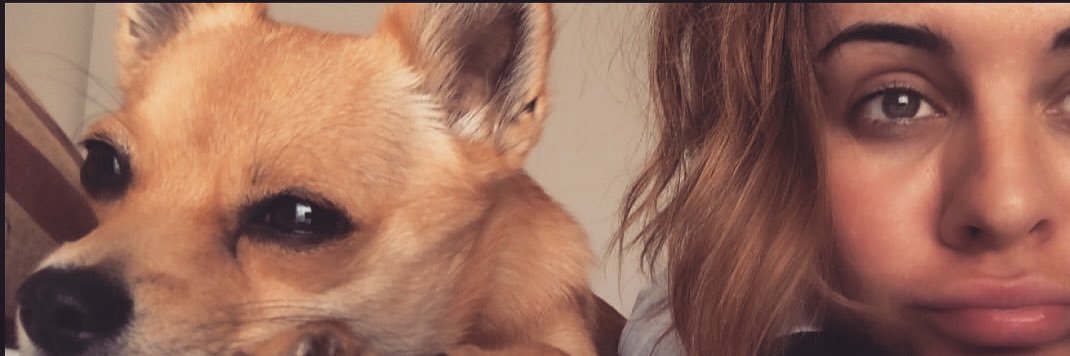 ReaganEllis's profile banner image