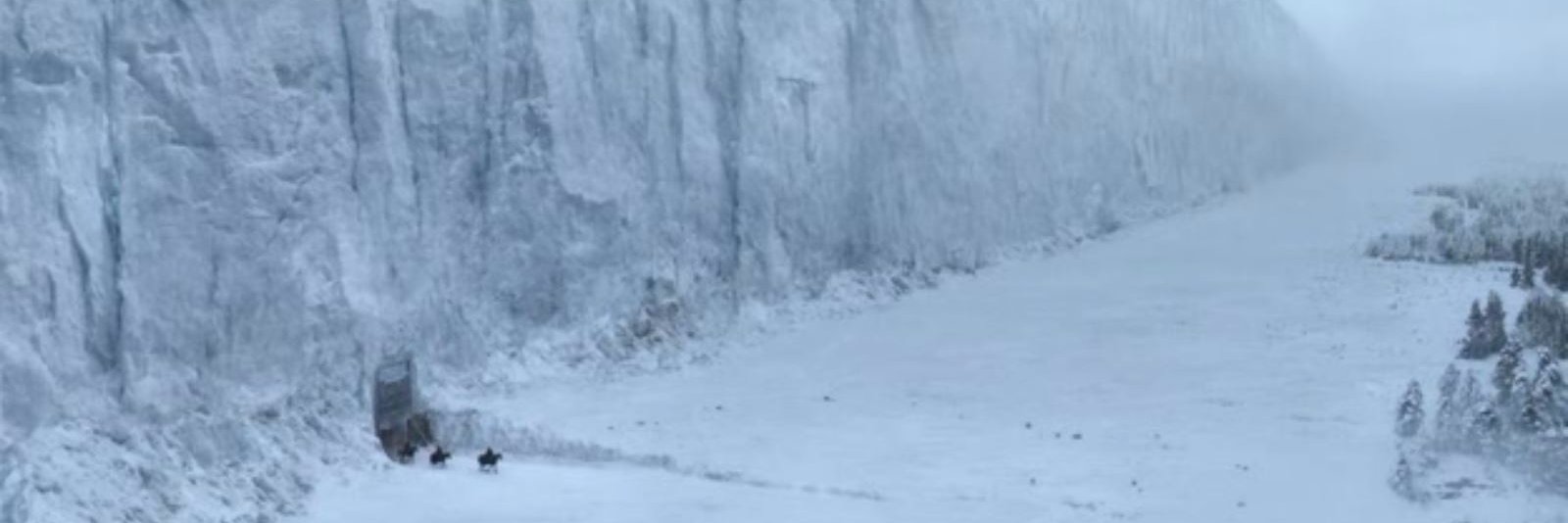 Treaczh's profile banner image