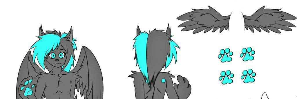 WolfyChado's profile banner image