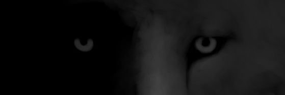 HHKto_'s profile banner image
