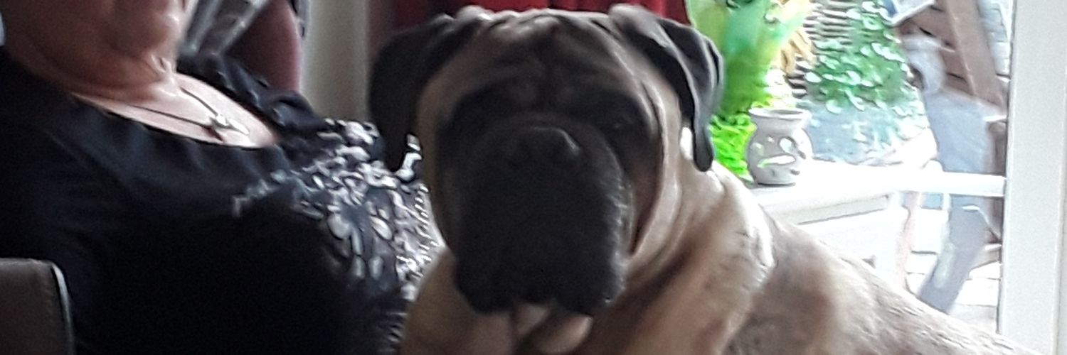 Harry banner