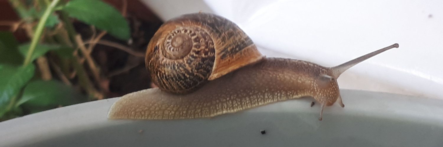 ramirosm69's profile banner image