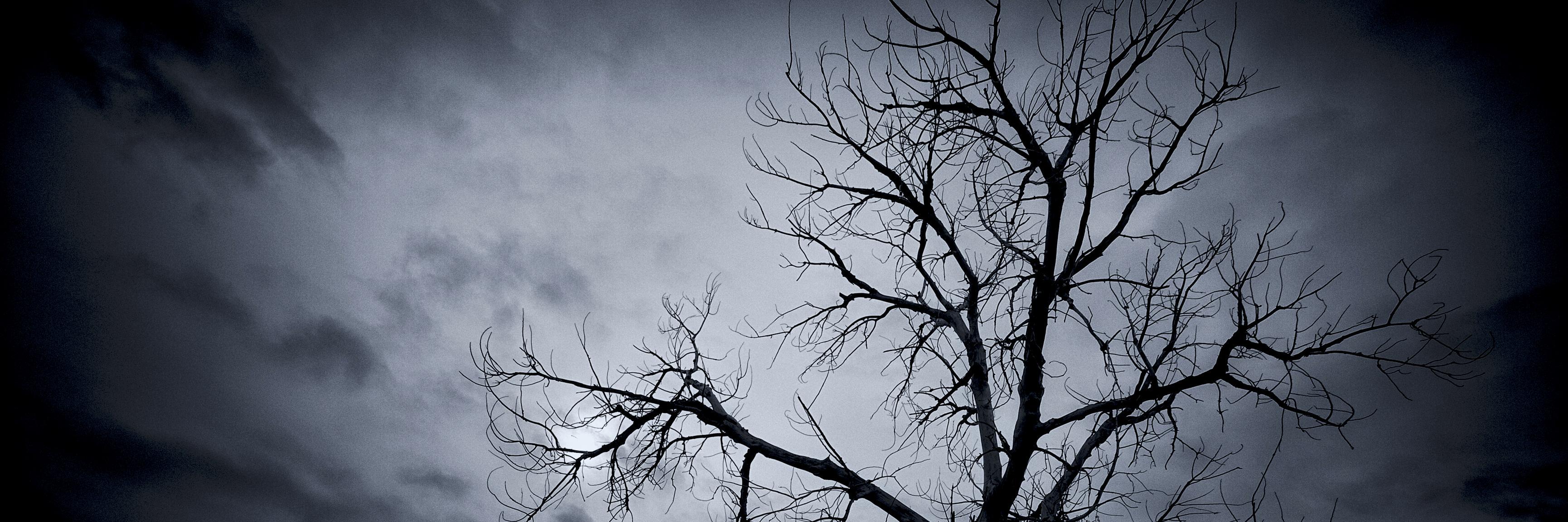 Sinister Mephisto banner