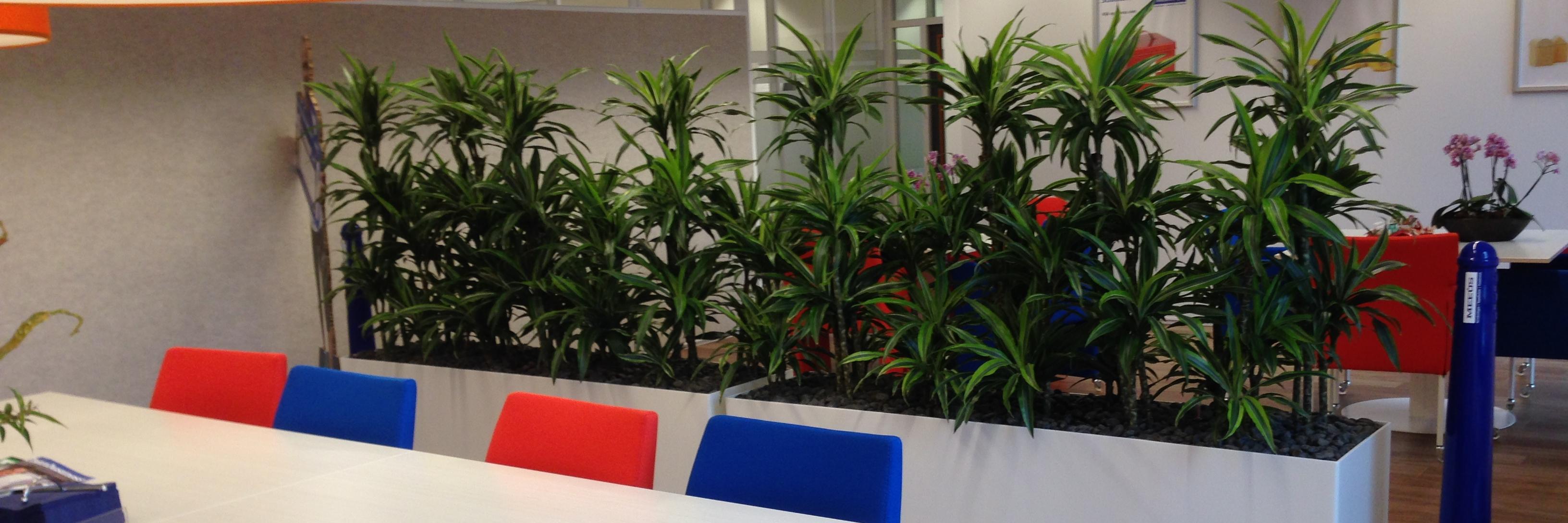 greencareheeze's profile banner image