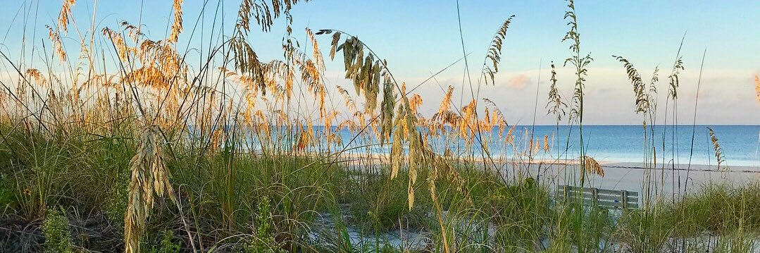 Danielle Celmer-Yell banner