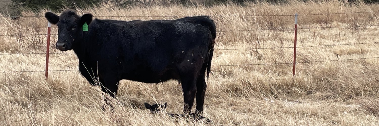 John Pfeiffer banner
