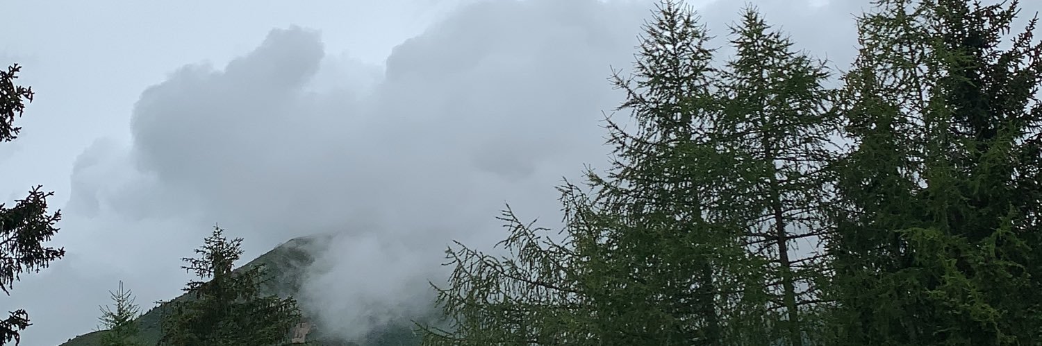 mattzalt's profile banner image