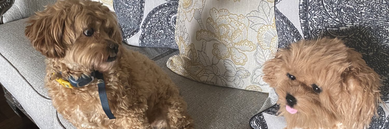 calockmiller's profile banner image