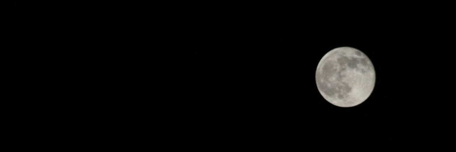 GizemB's profile banner image