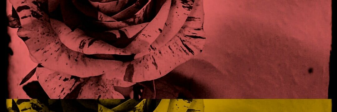 RubyDragonRD's profile banner image