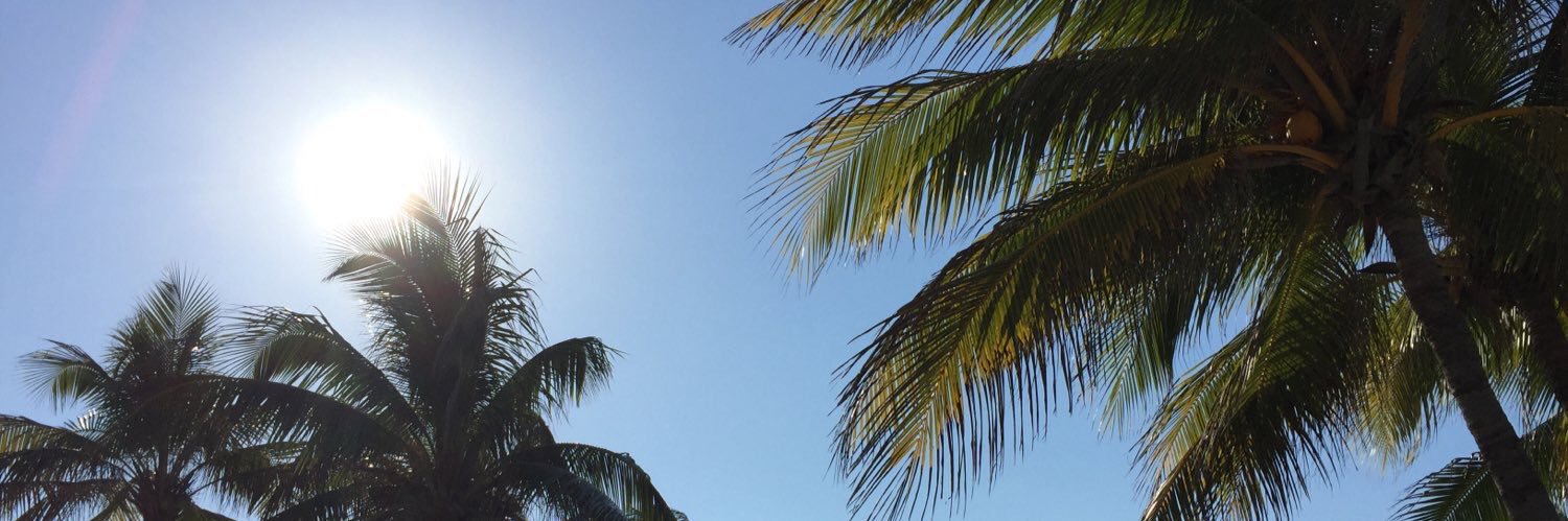 DelaneyMedd's profile banner image
