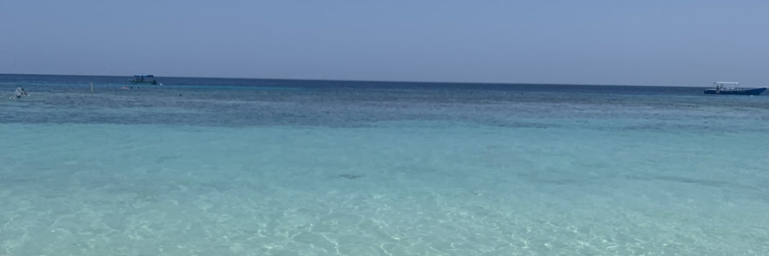 xKaylaODx's profile banner image