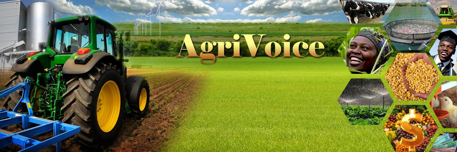 AgVoiceMag's profile banner image