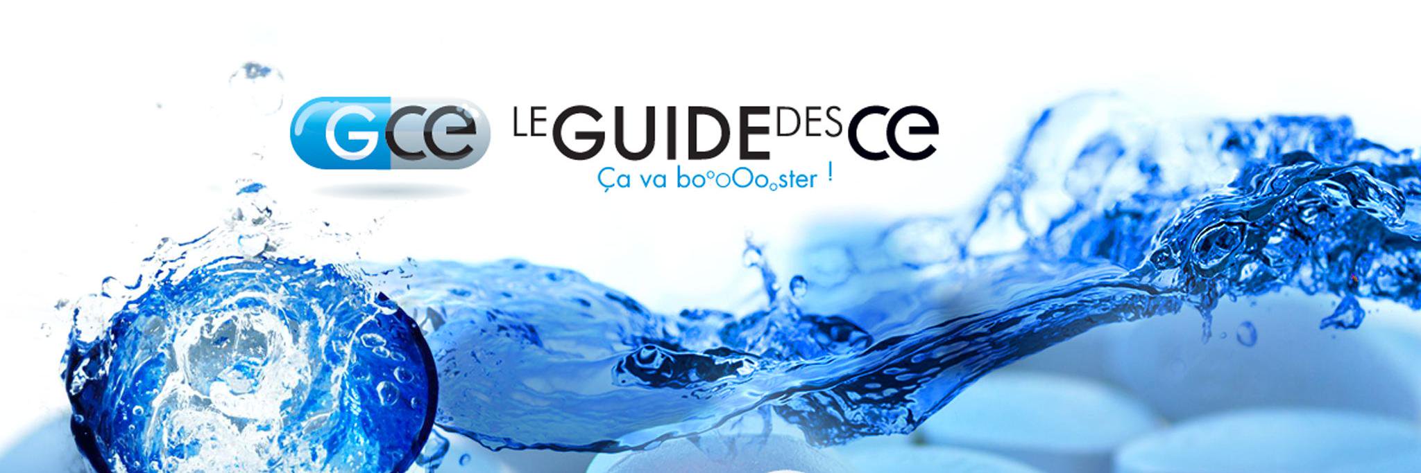 Le Guide des CE banner