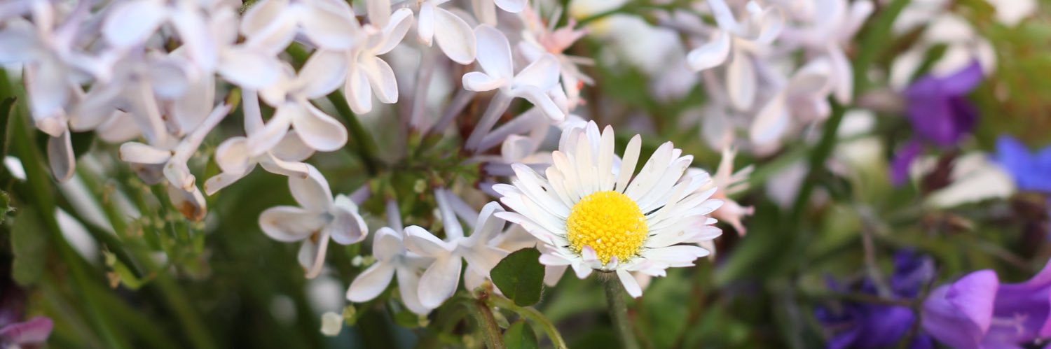 elmphotographs's profile banner image