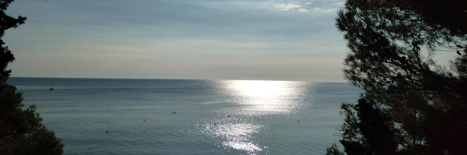 mdna61's profile banner image