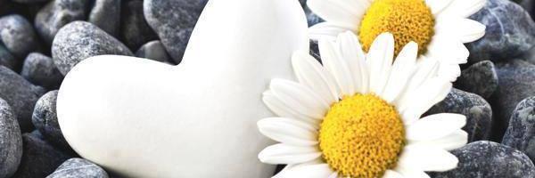 Ceydi35's profile banner image