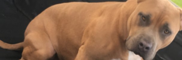 BrandonBurke5's profile banner image