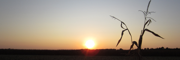 agreengeek Profile Banner