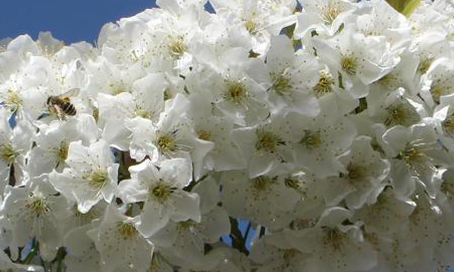 bctithe's profile banner image