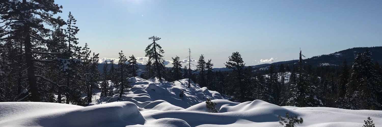 dnaftulin's profile banner image