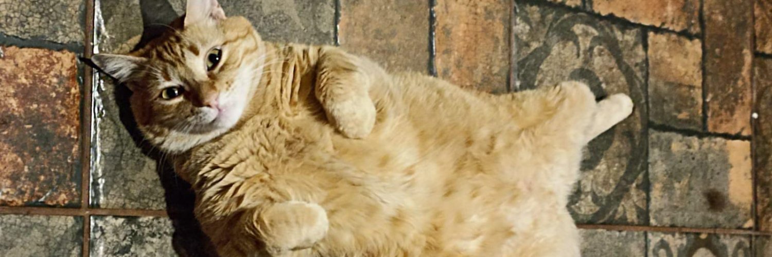 Ruivones. 🎥 banner