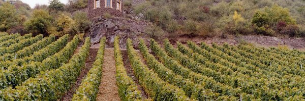 ABSWines Profile Banner