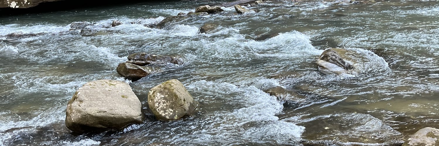 Chandler Langford banner