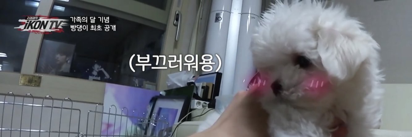 ______koohoeiy's profile banner image