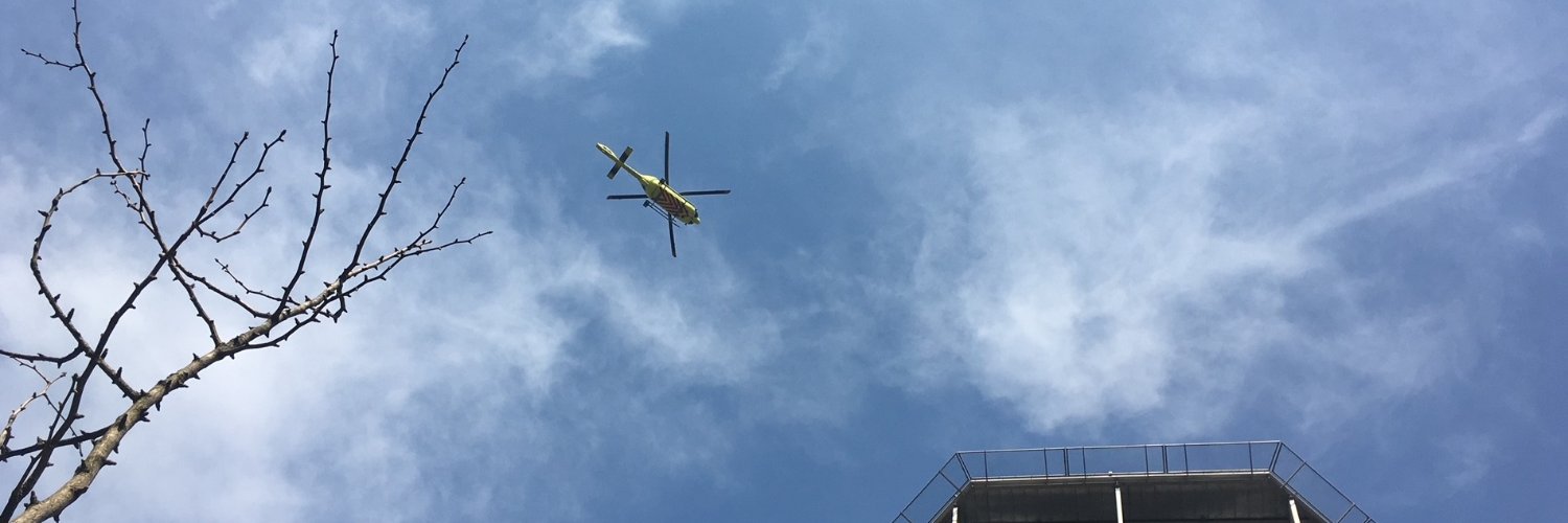 Ulla Nordström Joensen banner