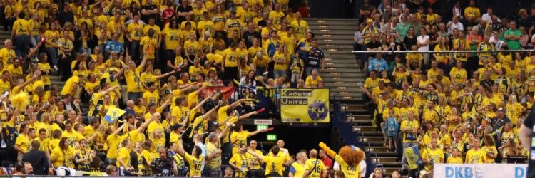 BadenLions's profile banner image