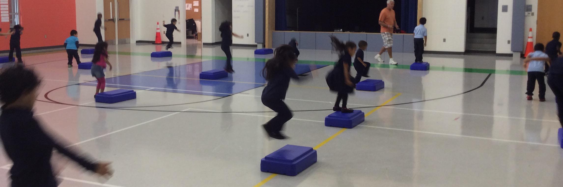 PGCPS Phys. Ed. banner