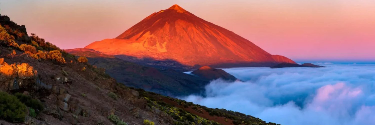 Primal Earth🌍 banner