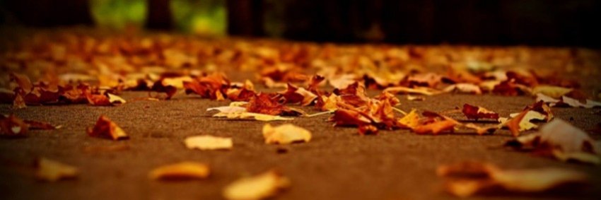 نوید نوذرنژاد banner