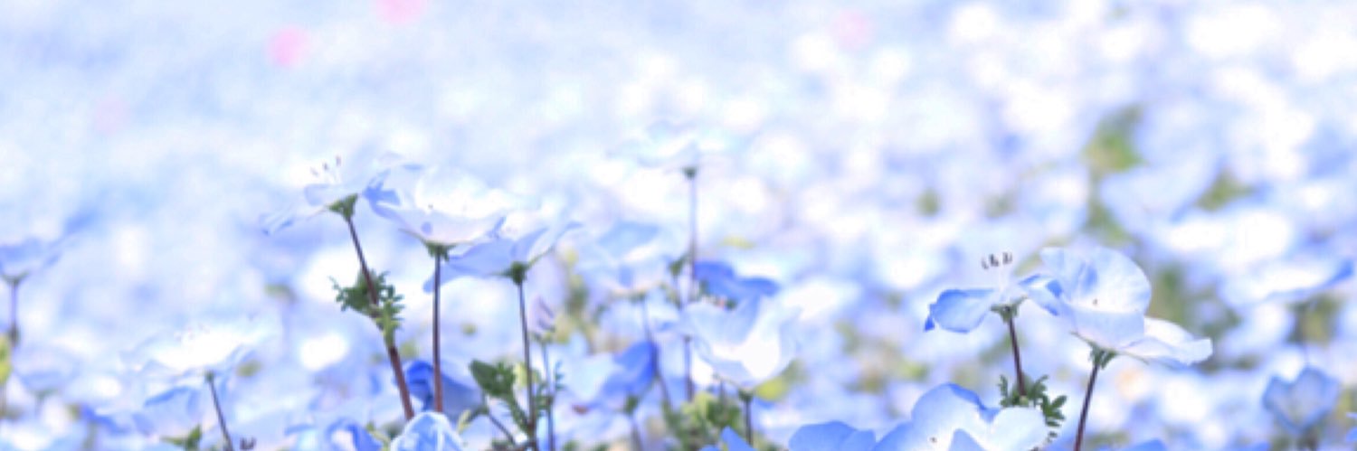 tottoko_88's profile banner image