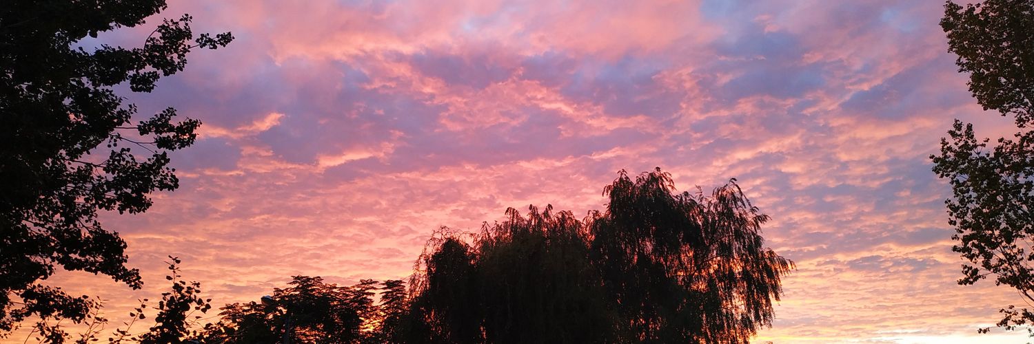 sofiimiranda22's profile banner image