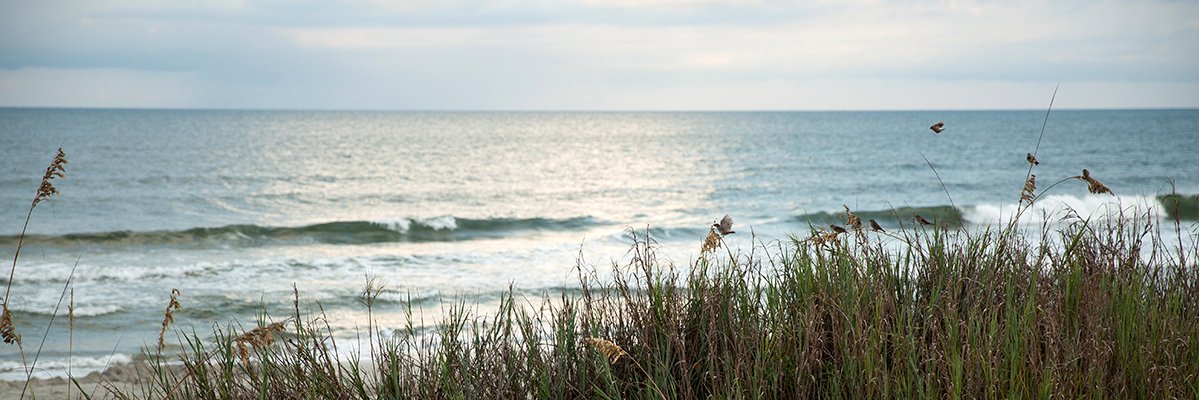 AndrewSherman_'s profile banner image