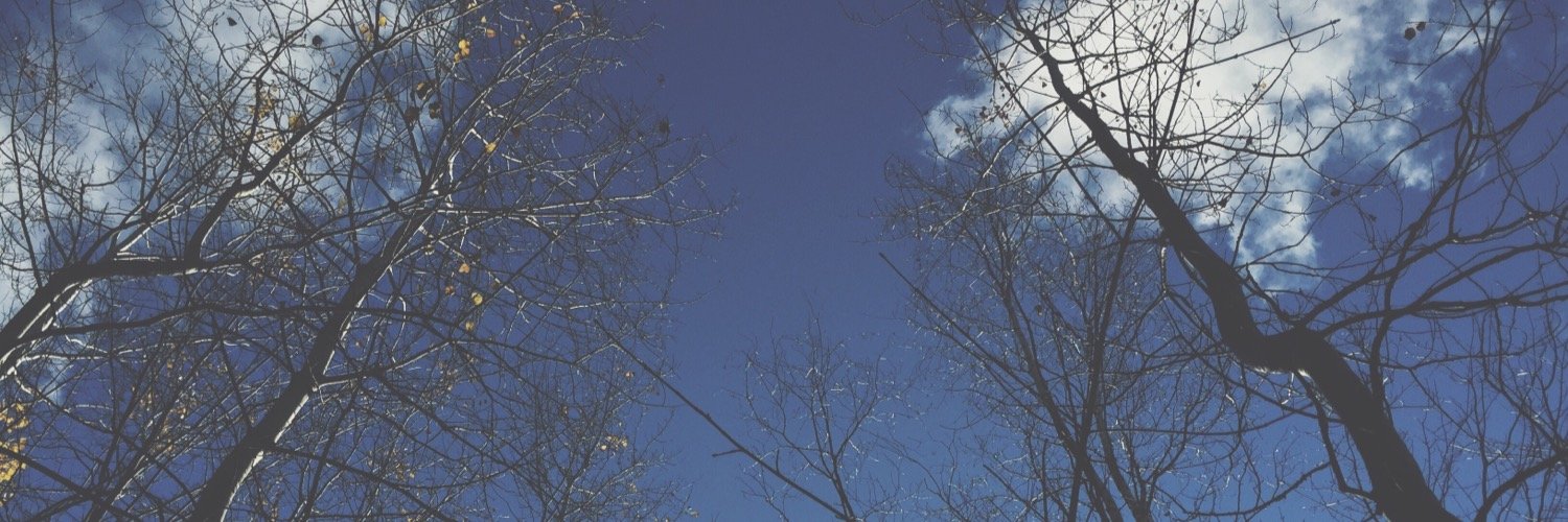 danajlefebvre's profile banner image