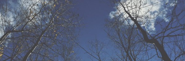 danajlefebvre Profile Banner