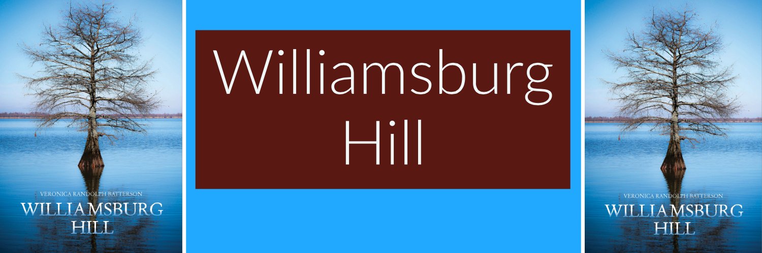 VRBatterson's profile banner image
