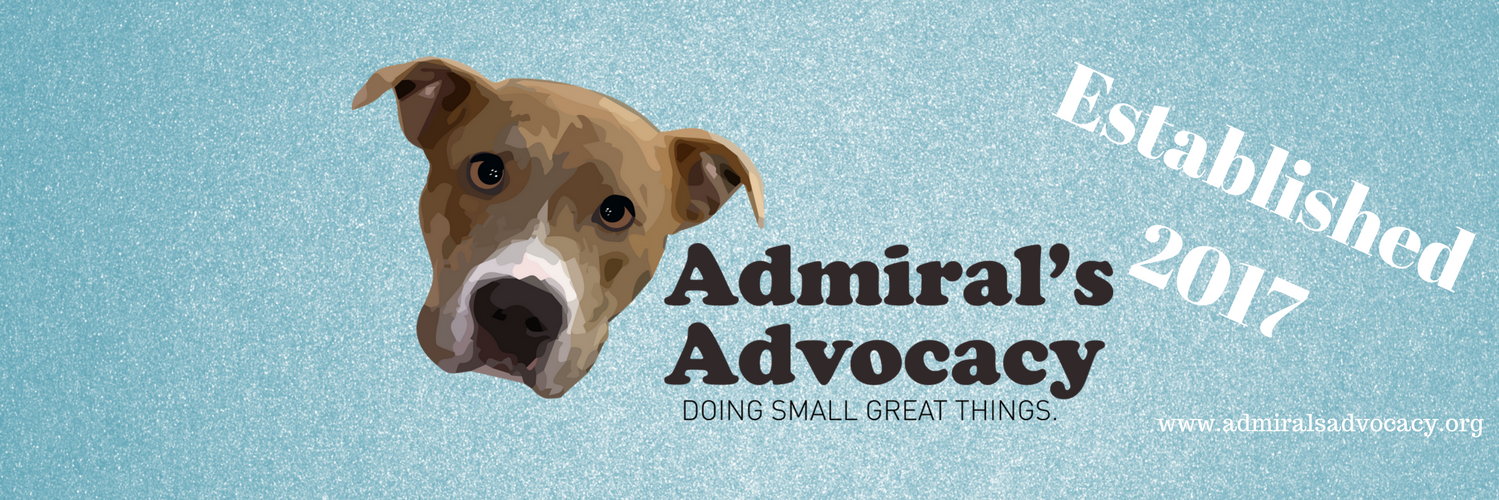 GoodDogAdmiral's profile banner image