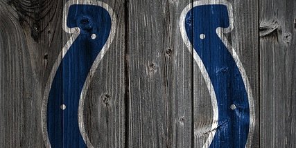 Molly Green banner