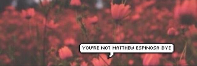 MattMarryMe97's profile banner image