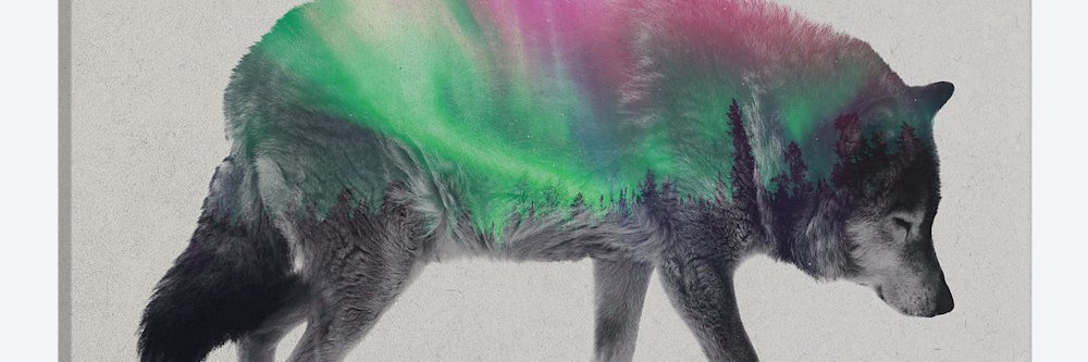 DDreynolds's profile banner image